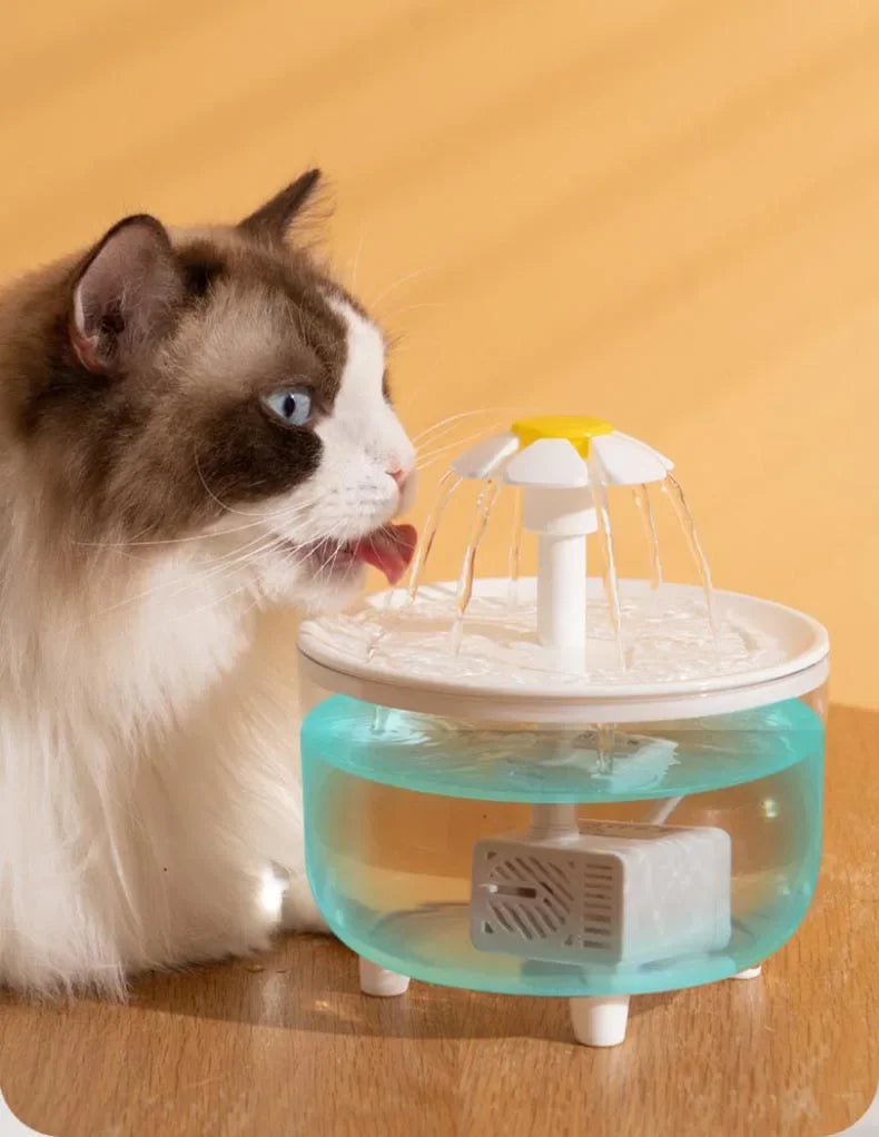 Fonte de Água Automática para Gatos