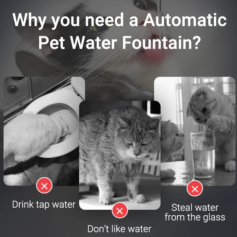 Fonte de Água Automática ROJECO